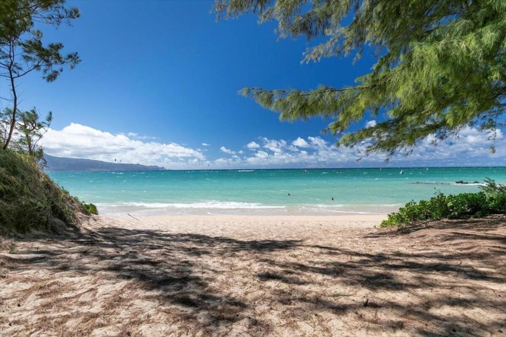 Unit 2 Maui Ohana Modern Studio Wailuku Εξωτερικό φωτογραφία
